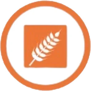 Gluten